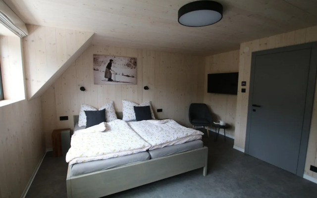 Villa in Dolni Morava Near Ski Slopes