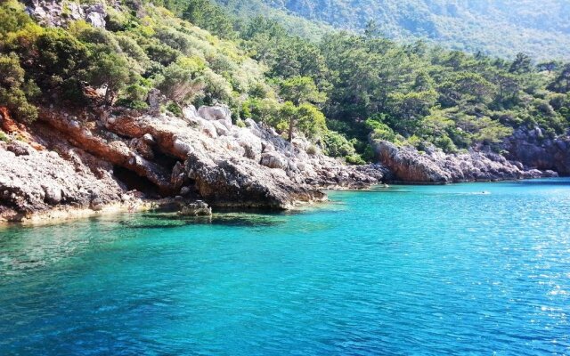 Olympos Deep Green Bungalows