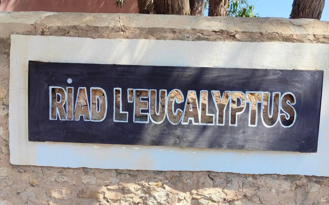 Riad Eucalyptus by Caravanserail