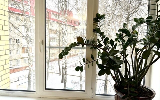 Yoshkina's Cat on Ryabinina Street
