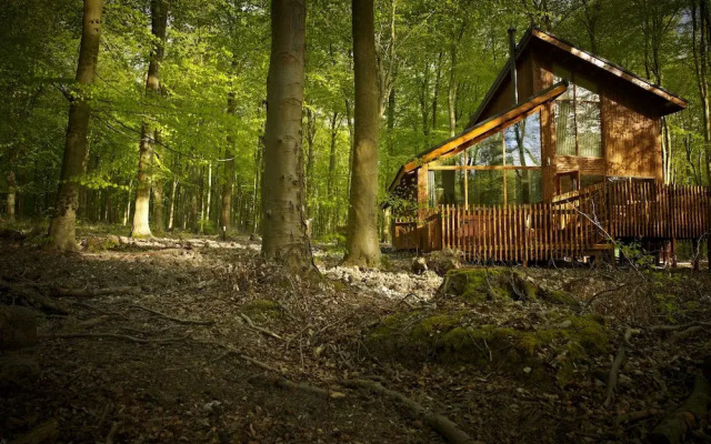 Forest Holidays Blackwood Forest