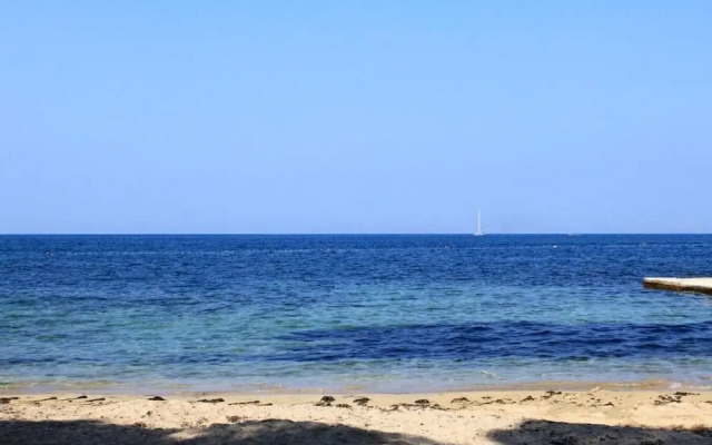 Eli - 50m From the sea - A3
