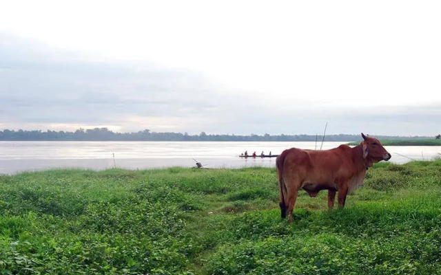 Bann Rim khong Resort