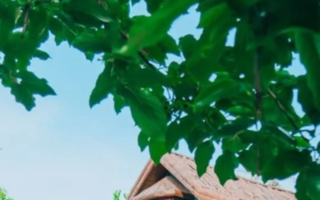 Sapanca  Şeker Bungalov