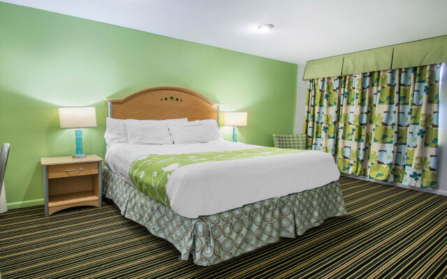 Rodeway Inn & Suites Winter Haven Chain Of Lakes