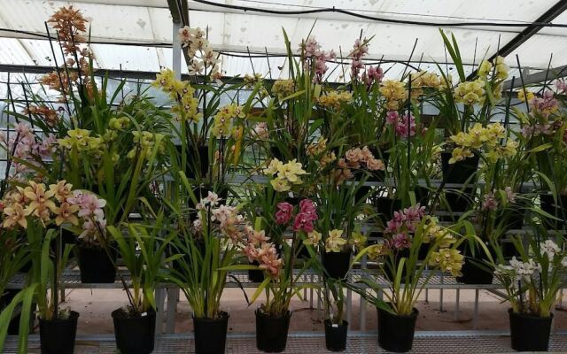 Ararat Southern Cross Motor Inn