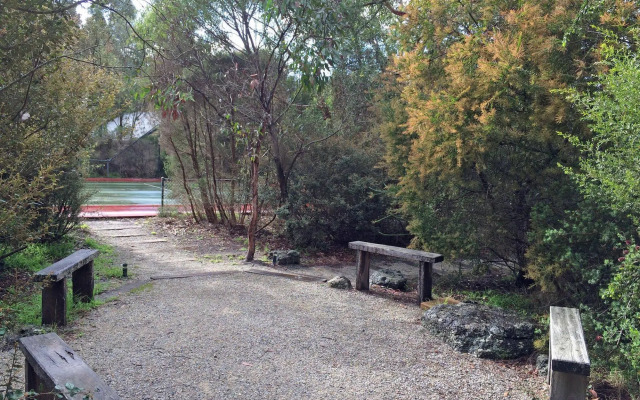 Split Point Cottages