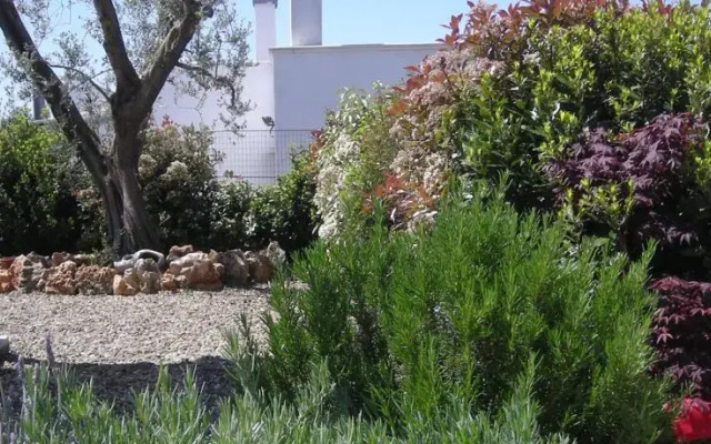 Trullo Mimosa