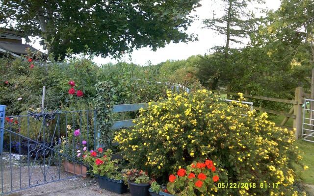 Plas Llangaffo Farmhouse
