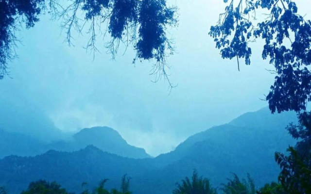 Jungle Hut Resorts