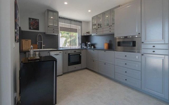 Laurus Tuli Evica in Tuli Evica