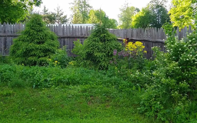 Guesthouse Puzhalova Izba