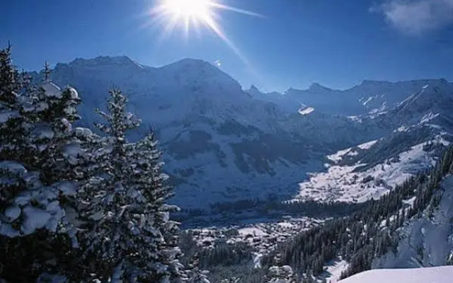 Adler Adelboden