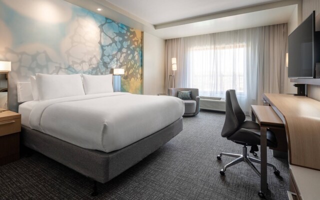 Courtyard Petaluma Sonoma County