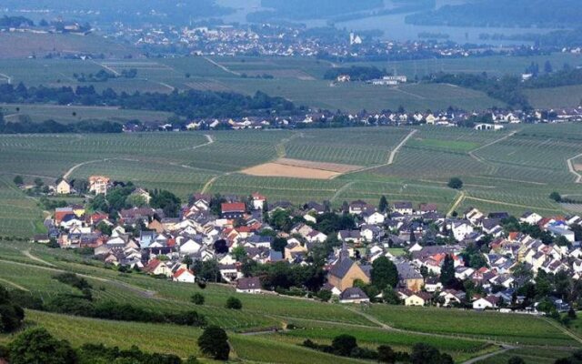 Weingut Magdalenenhof