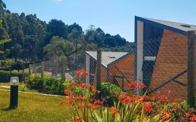 Hotel Pico 16