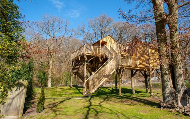 Oakside Tree Tops
