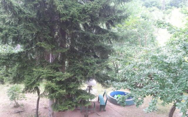 Akhaldaba By Borjomi