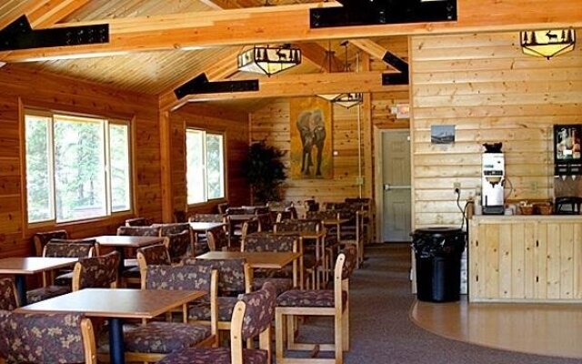 Denali Grizzly Bear Resort