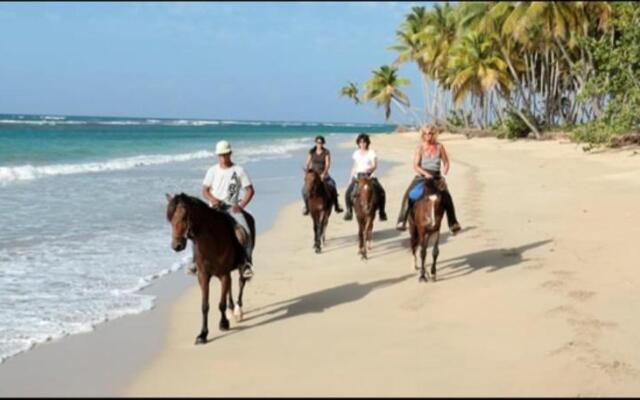 Liz Apartment Punta Cana 2 Bedrooms 2Bathrooms