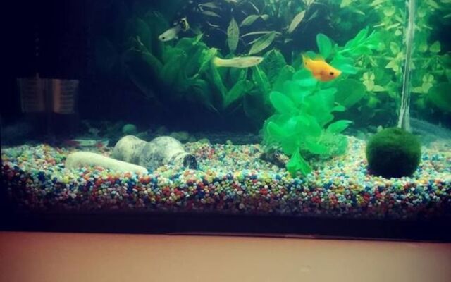 B&B il golfo delle sirene