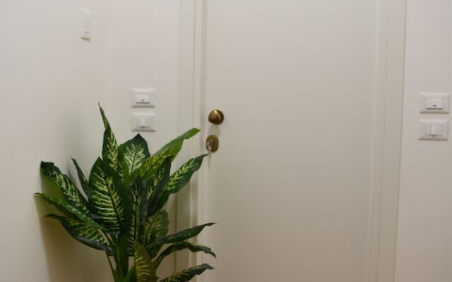 Namuri Comfortable Rooms