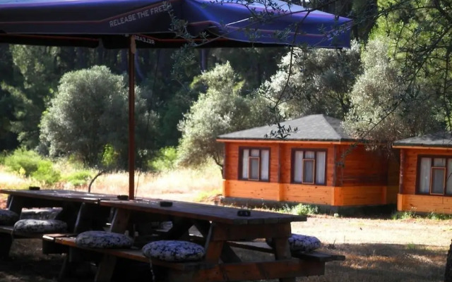 Olympos Woods - Adults Only
