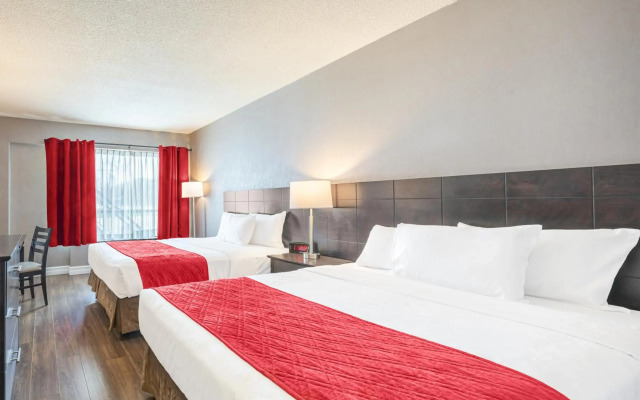 Hotel Universel