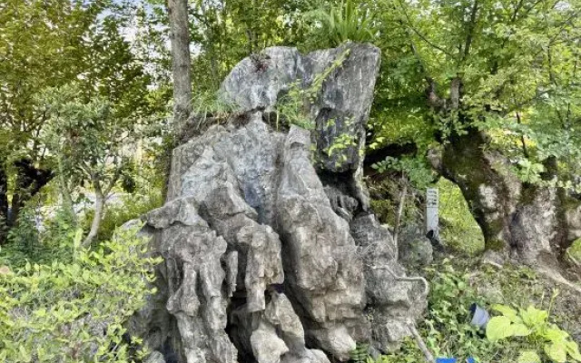 PingLanJu homestay