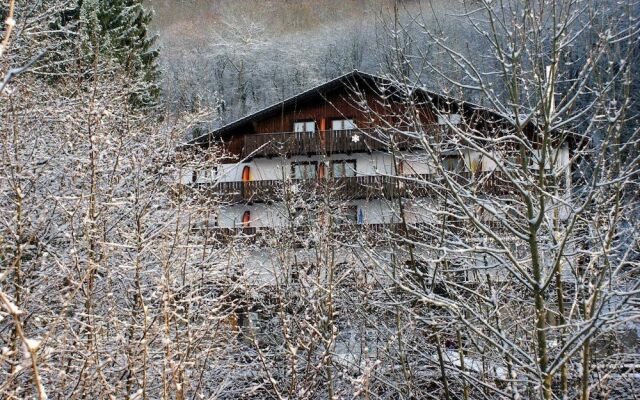 Wolffhotel
