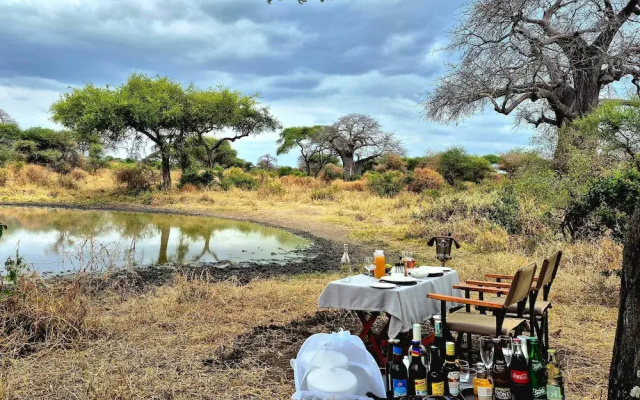 Tarangire Greenland Retreat