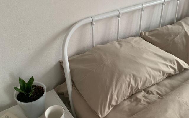 Comfort Home (Комфорт Хоум) на улице Архангельская 11