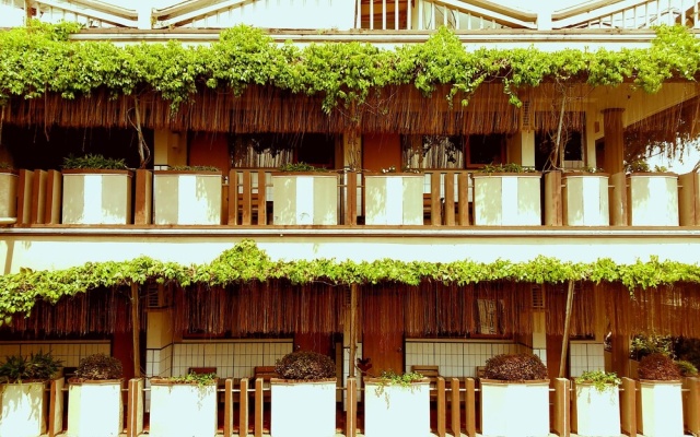 Hotel Lestari Near Lippo Plaza Mall Jember
