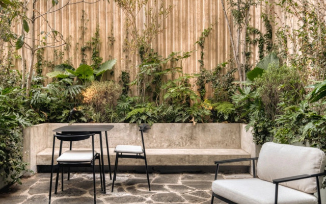 ONTO Alvaro Obregon Mexico City