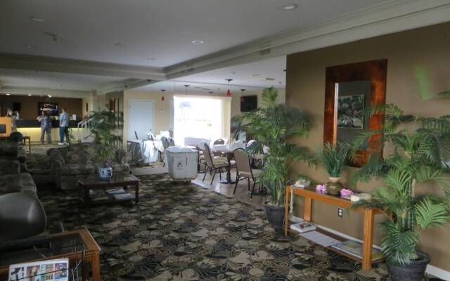 Homestyle Inn & Suites