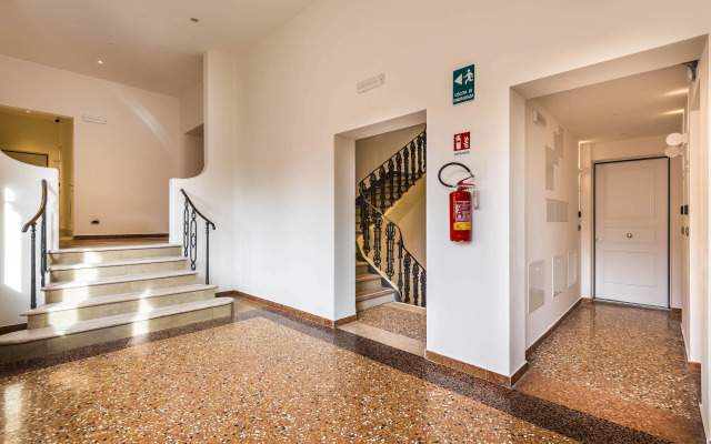 Design Club Collection