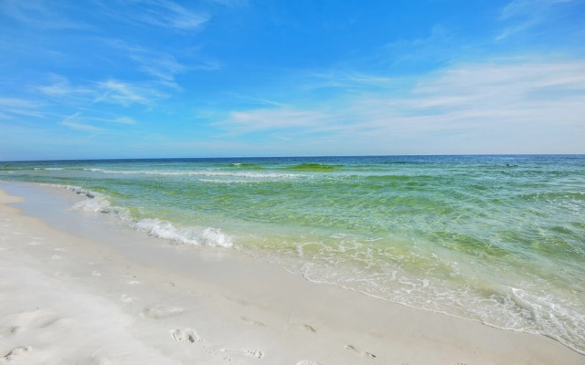 Sea Dunes 501