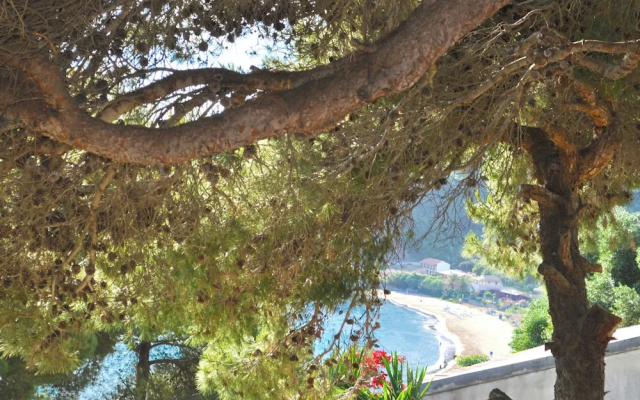 Charming Studio Apartments With Swimming Pool Near Pelekas Beach