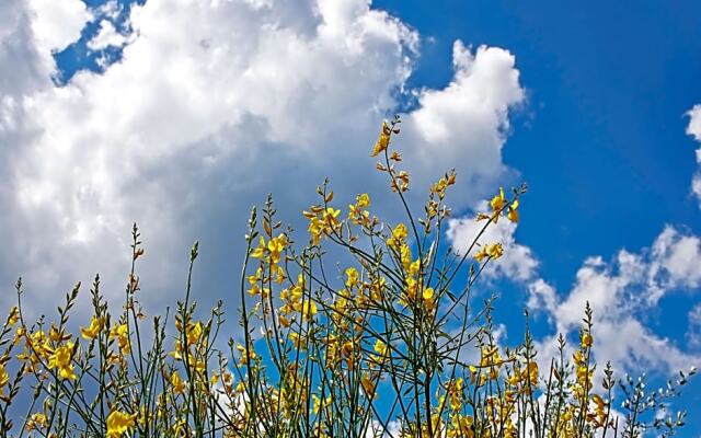 B&B Torre Della Chiocciola