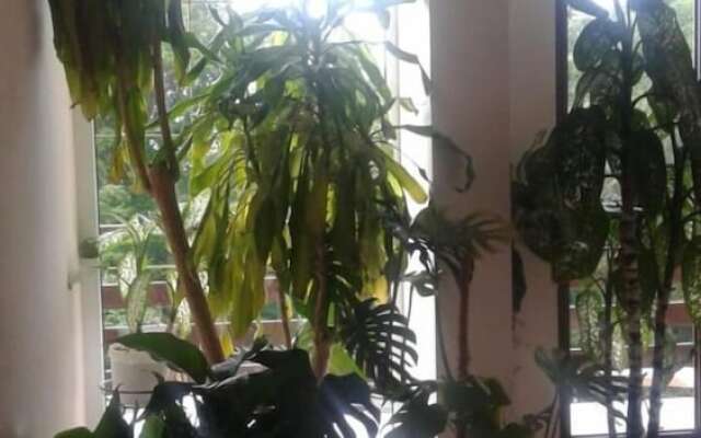 Guest House Villa Nadezhda