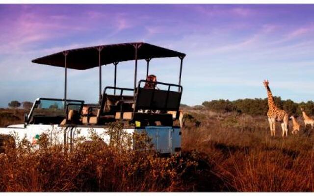 Thali Thali Game Lodge