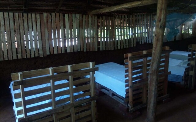 Yoho Mango Tree Home Stay & Hostel