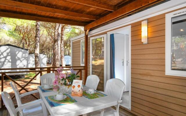 Club Del Sole Spina Family Collection