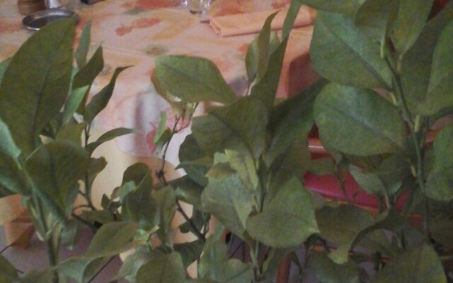 Hotel Restaurant le Provençal