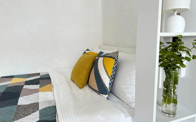 Доминго на улице Садовского 49