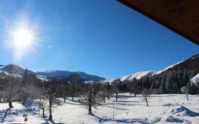 Mountain Villa Didveli