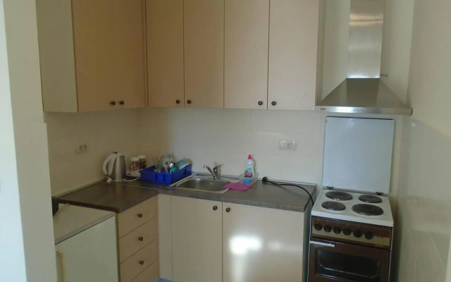 Fantastic brand new apartment