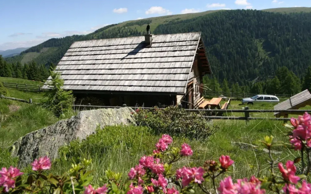Stunning Holiday Home in Eisentratten With Garden, Terrace