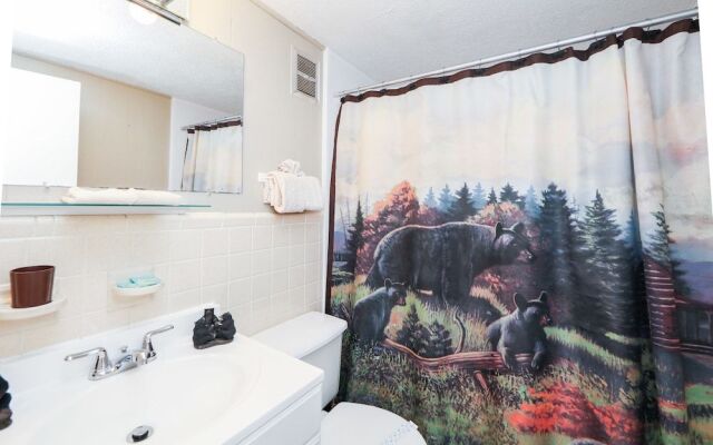 1429 Zurich Rd Chalet