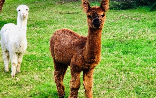 Westminster Mountain View Manor Main House